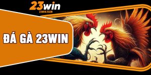 Đá Gà 23Win