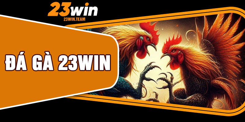 Đá Gà 23Win