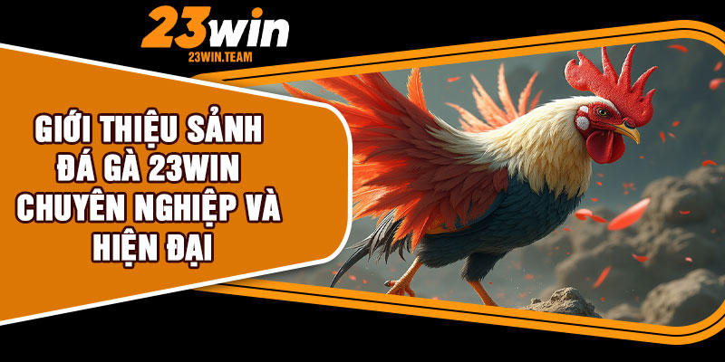 Giới thiệu sảnh đá gà 23Win chuyên nghiệp và hiện đại