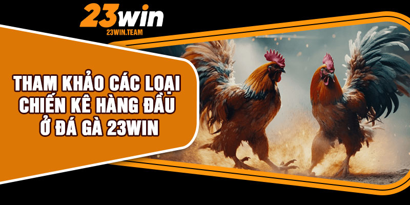 Tham khảo các loại chiến kê hàng đầu ở đá gà 23Win