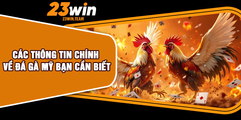 Các thông tin chính về đá gà Mỹ bạn cần biết
