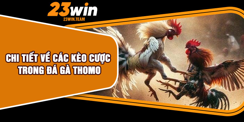 Chi tiết về các kèo cược trong đá gà Thomo