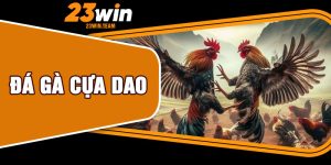 Đá Gà Cựa Dao