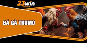 Đá Gà Thomo