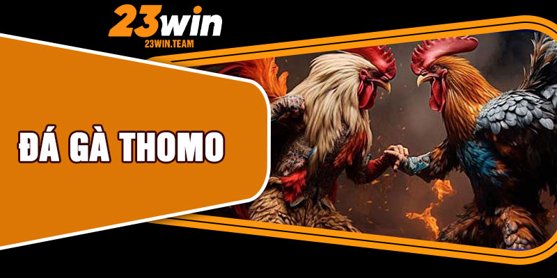 Đá Gà Thomo