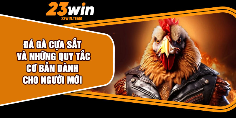 Đá gà cựa sắt và những quy tắc cơ bản dành cho người mới 