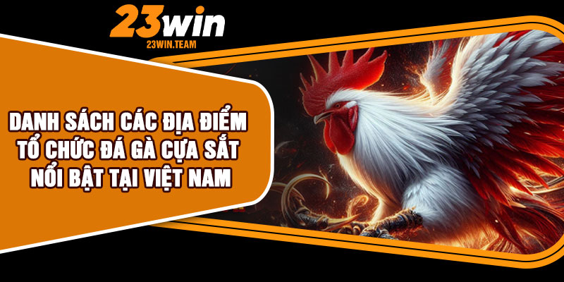 Danh sách các địa điểm tổ chức đá gà cựa sắt nổi bật tại Việt Nam