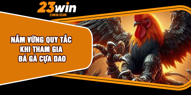 Nắm vững quy tắc khi tham gia đá gà cựa dao