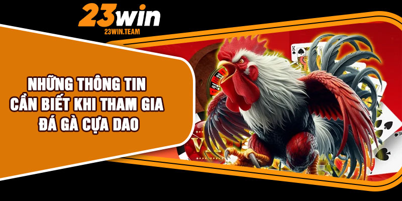 Những thông tin cần biết khi tham gia đá gà cựa dao