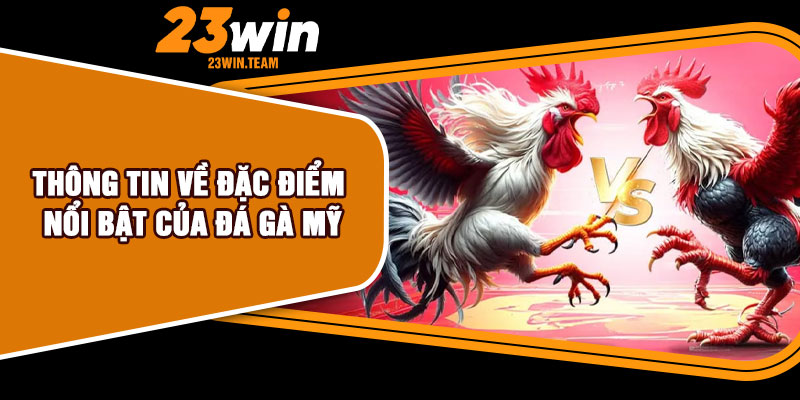 Thông tin về đặc điểm nổi bật của đá gà Mỹ