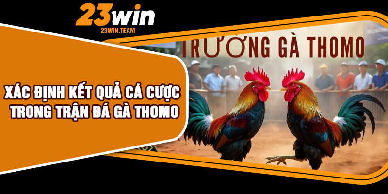 Xác định kết quả cá cược trong trận đá gà Thomo